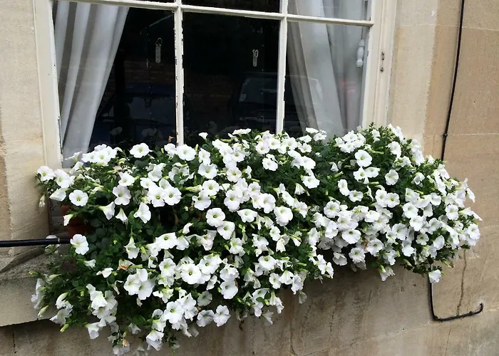 No 4 Ainslie\'S Belvedere B&B